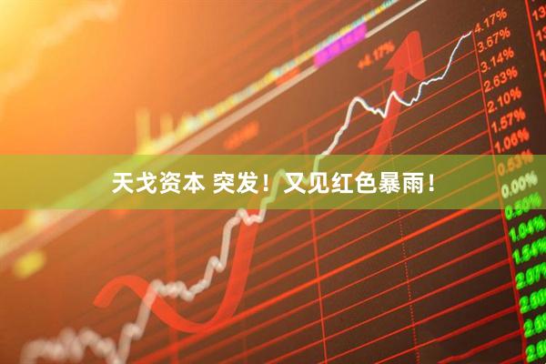天戈资本 突发！又见红色暴雨！