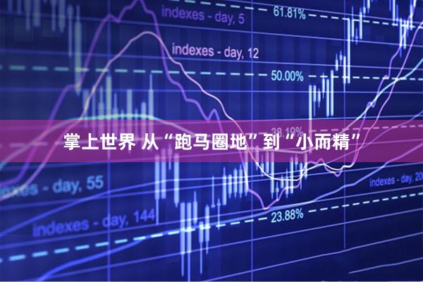 掌上世界 从“跑马圈地”到“小而精”